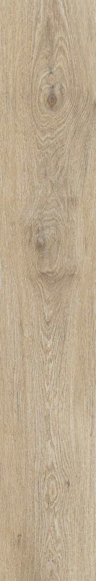 ragno ossimori r9rh.jpg