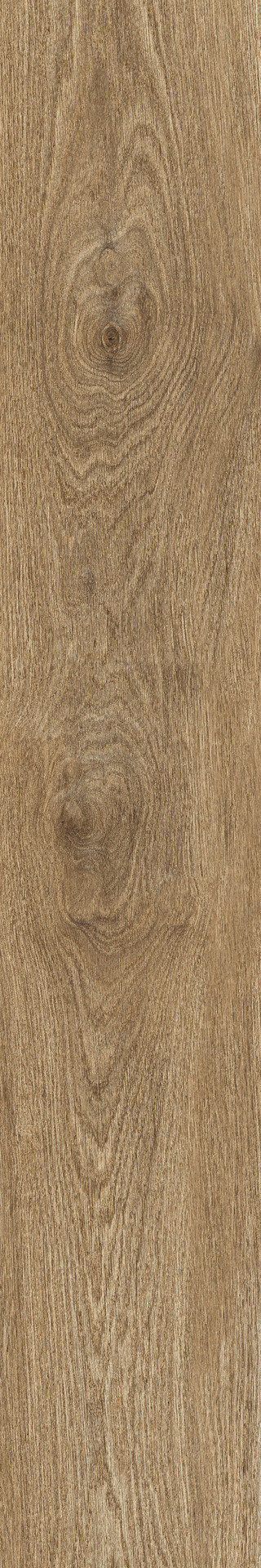 ragno ossimori r9tc.jpg