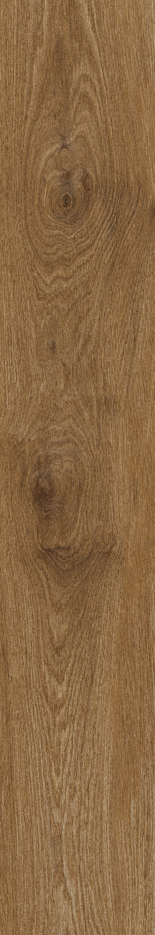 ragno ossimori r9td.jpg