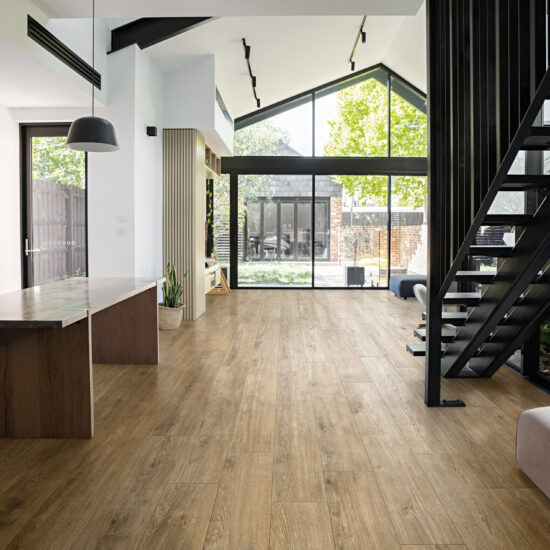 ragno ossimori 001.jpg