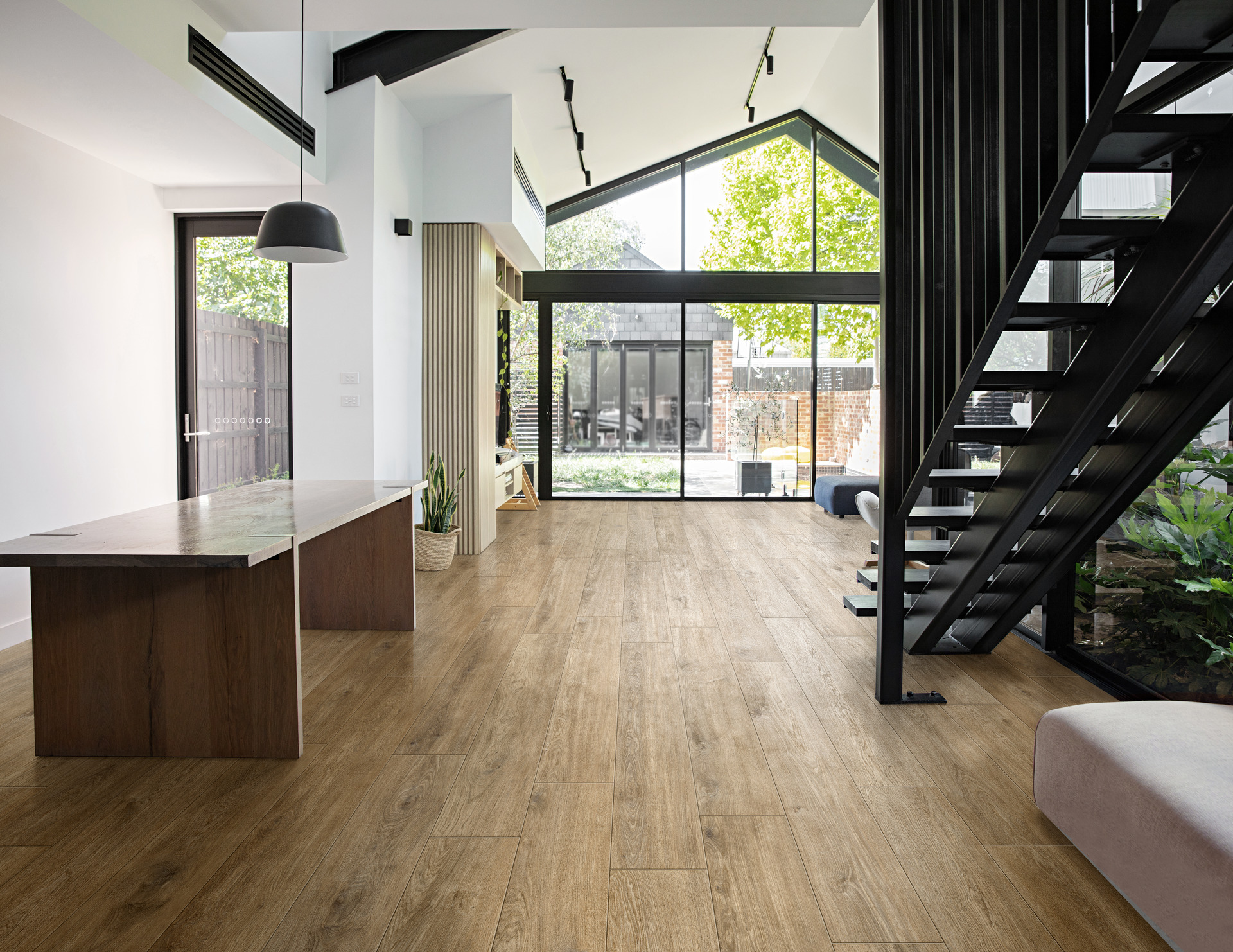 ragno ossimori 001.jpg