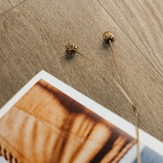 ragno ossimori 003.jpg