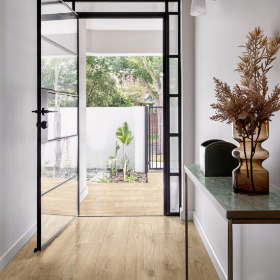 ragno ossimori 005.jpg