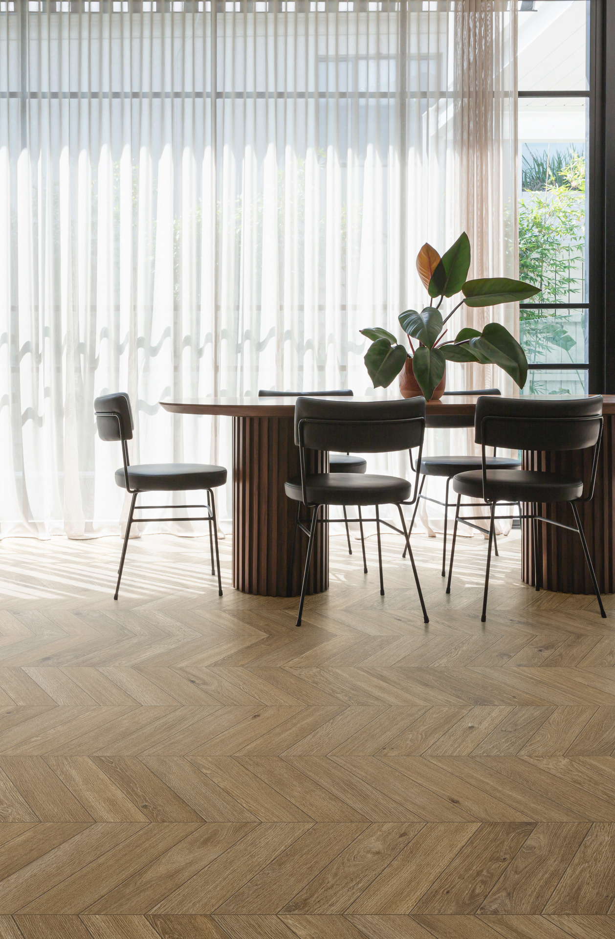 ragno ossimori 007.jpg