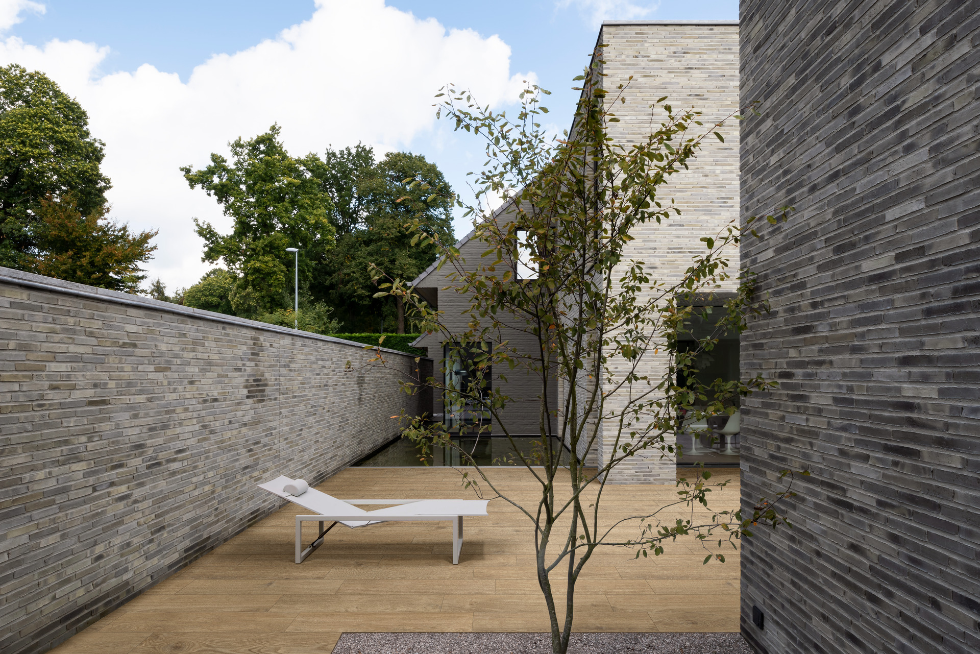 ragno ossimori 010.jpg