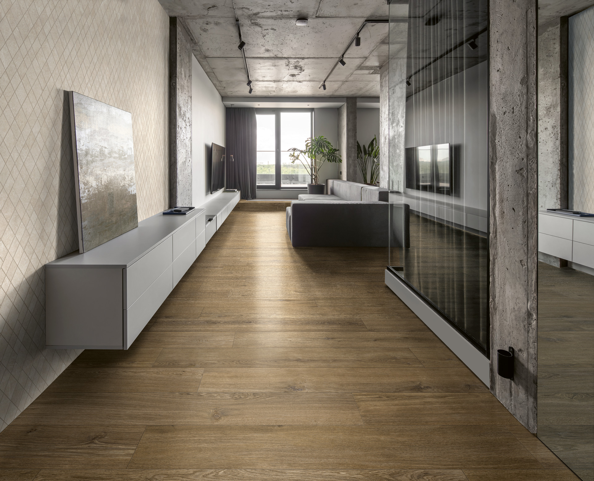 ragno ossimori 011.jpg