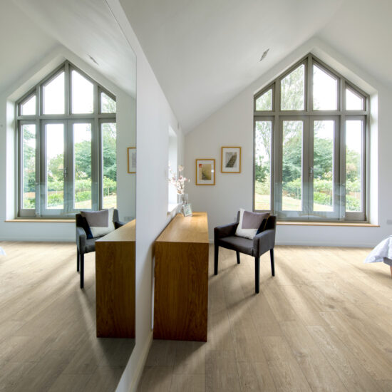 ragno ossimori 012.jpg