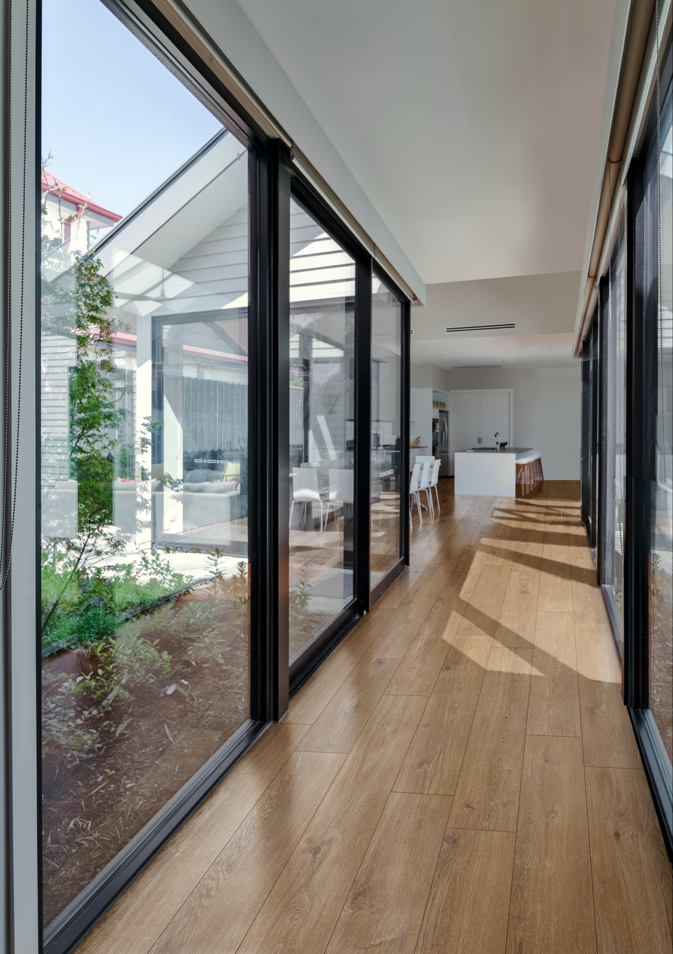 ragno ossimori 013.jpg