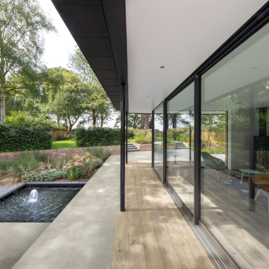 ragno ossimori 014.jpg