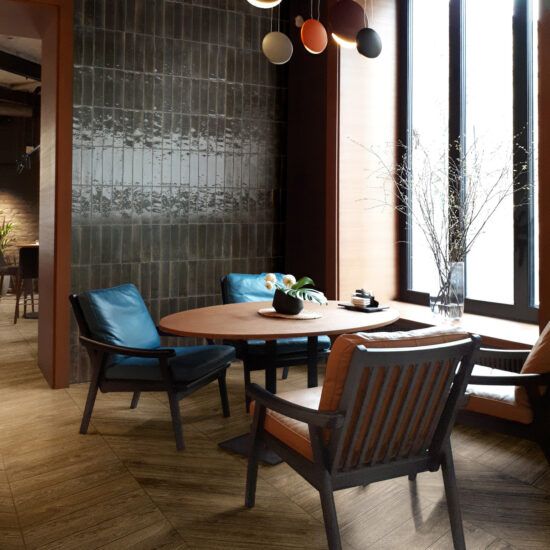 ragno ossimori 015.jpg