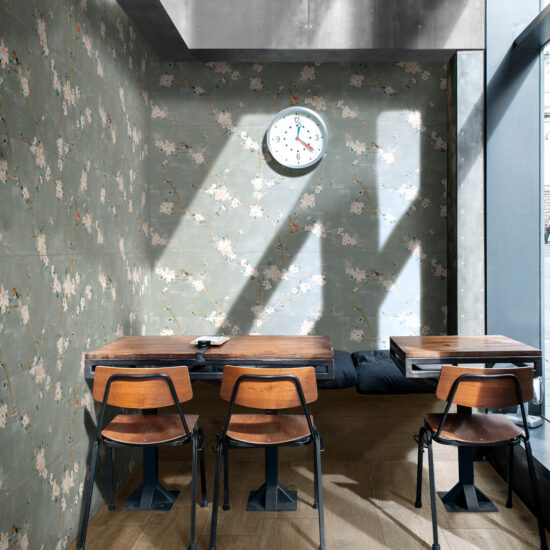 ragno ossimori 016.jpg