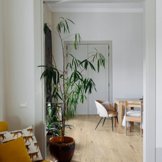 ragno ossimori 018.jpg