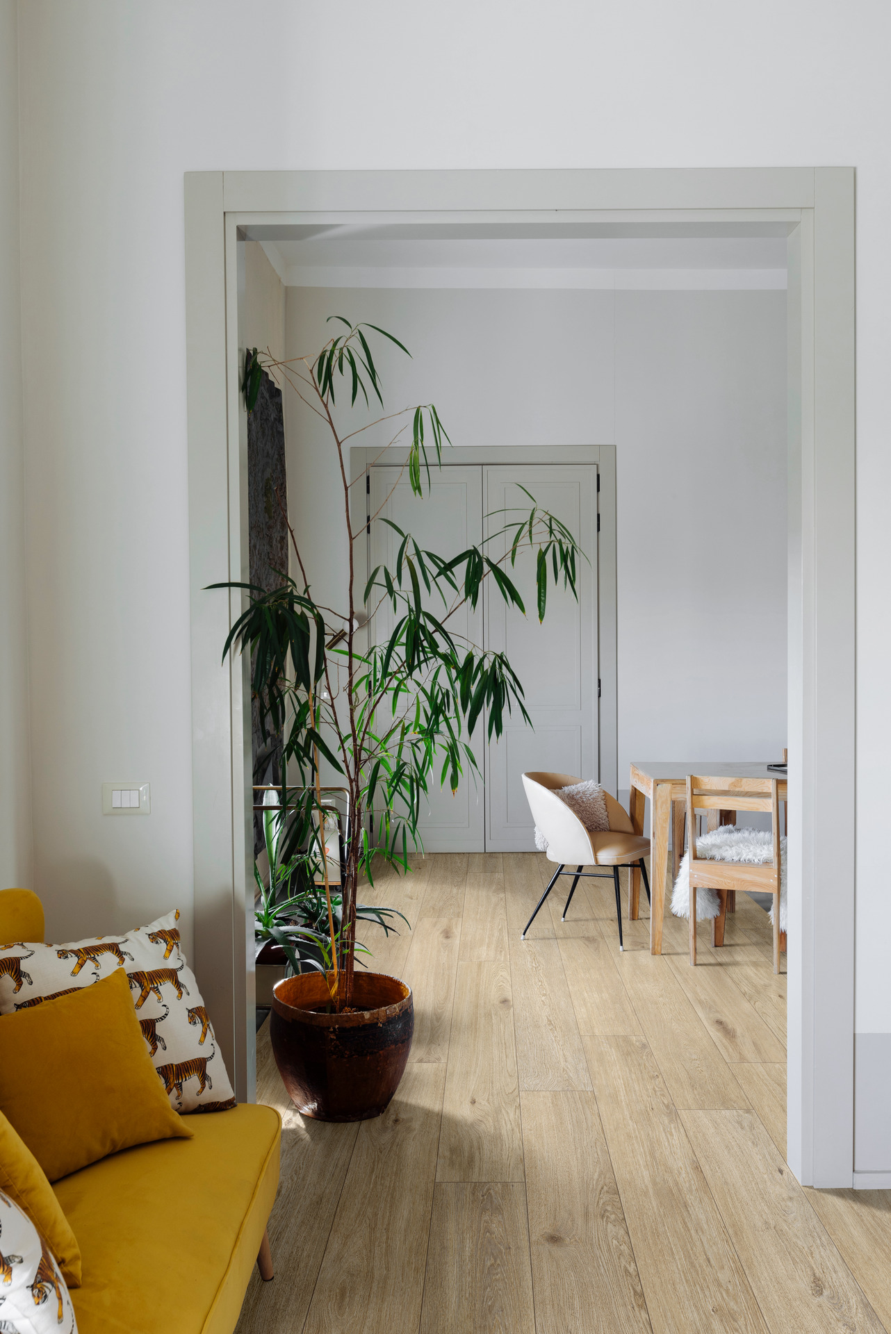 ragno ossimori 018.jpg