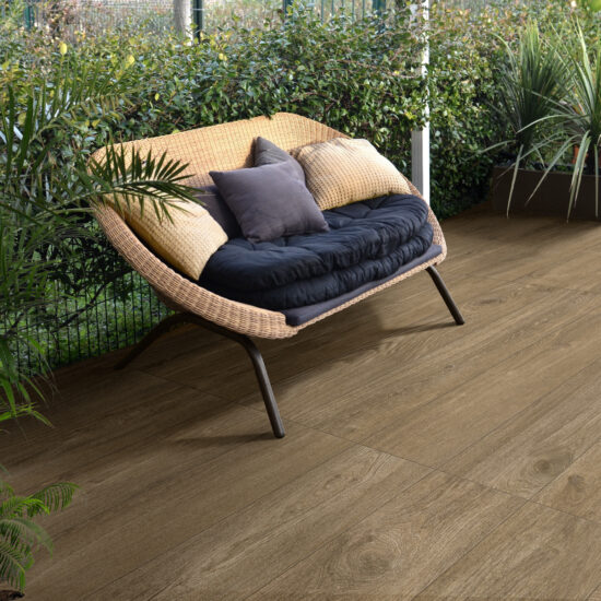 ragno ossimori 019.jpg