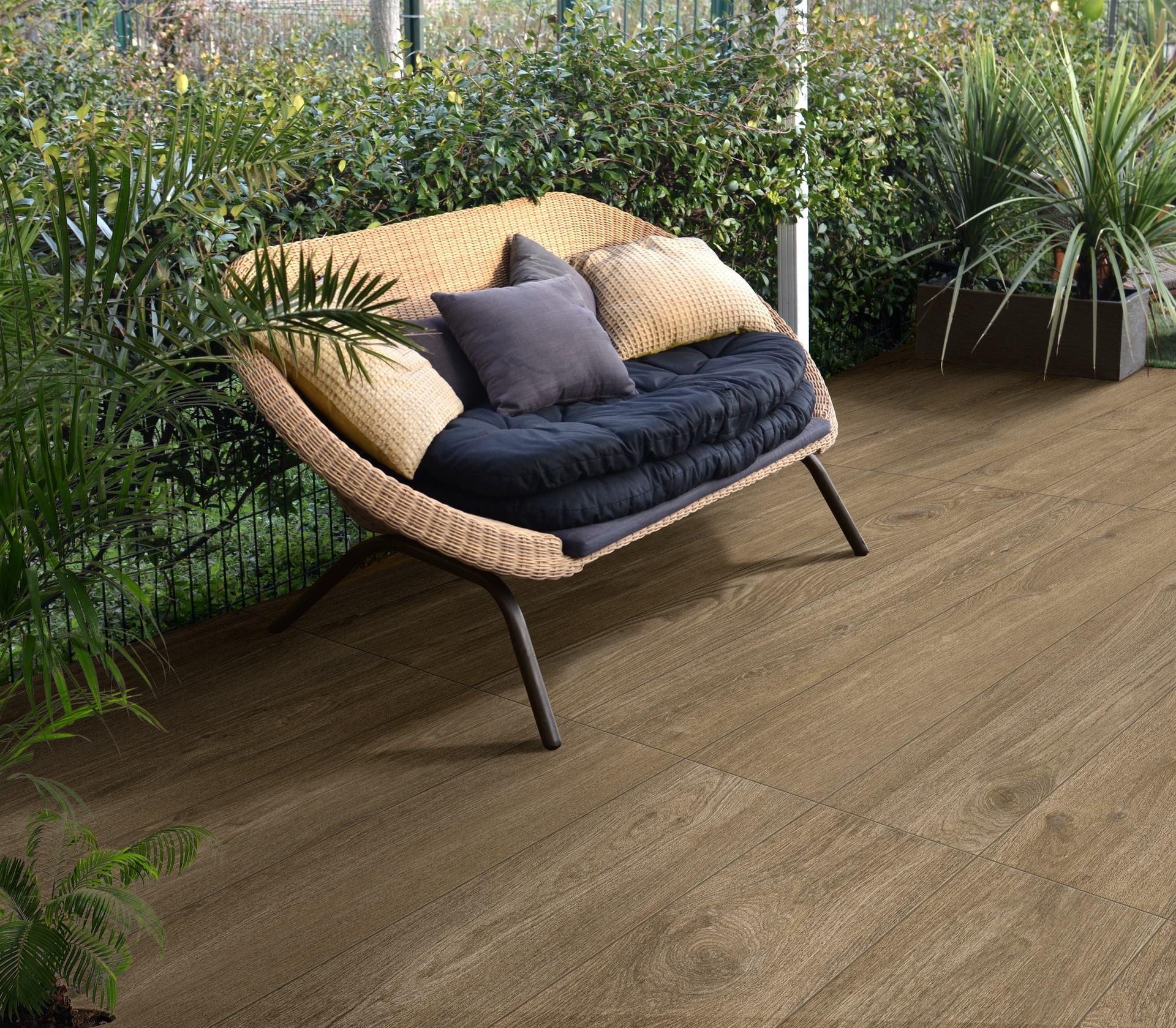 ragno ossimori 019.jpg