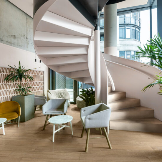 ragno ossimori 020.jpg