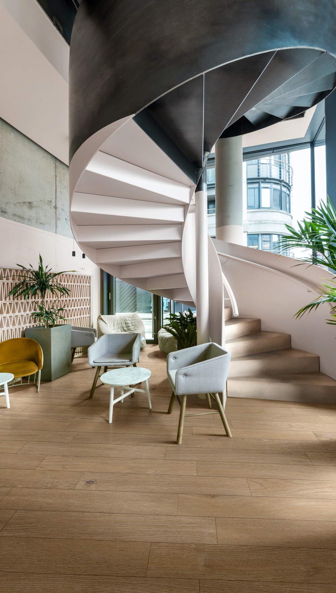 ragno ossimori 020.jpg