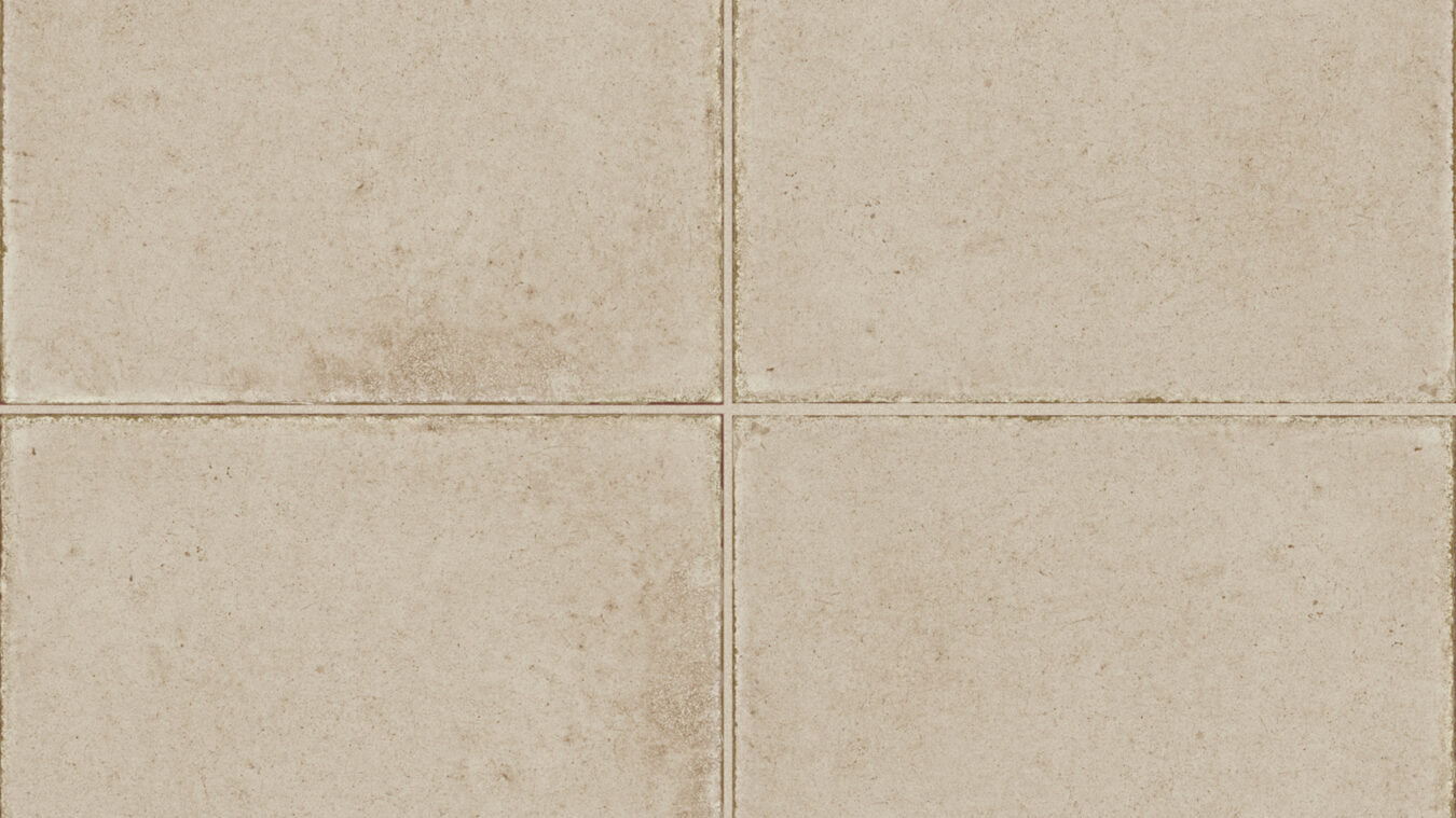 ragno ottocento rkmp.jpg