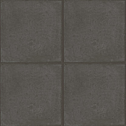 ragno ottocento rkms.jpg