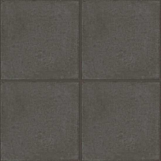 ragno ottocento rkms.jpg