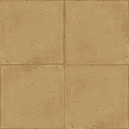 ragno ottocento rkmu.jpg