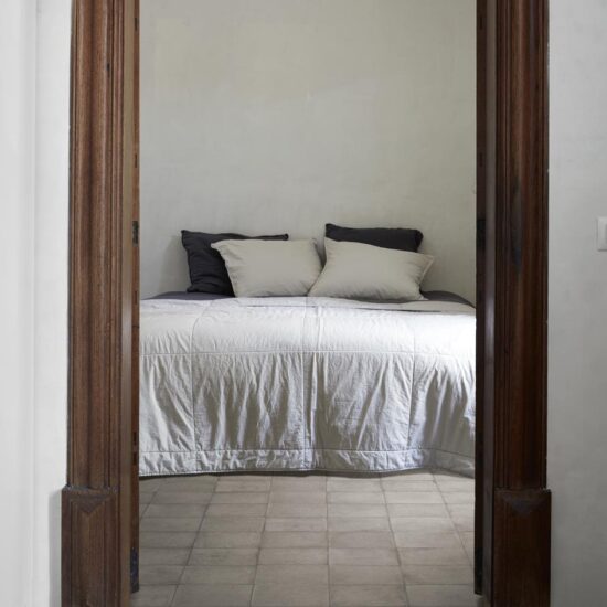 ragno ottocento 010.jpg