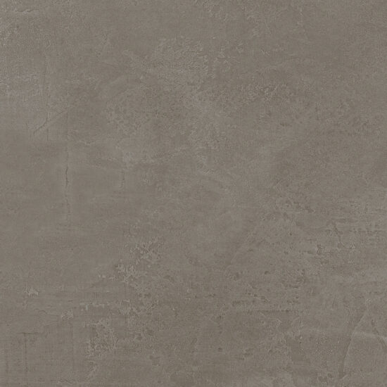 ragno re solution r623.jpg