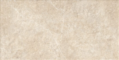 ragno realstone argent xt20 r9xa.jpg