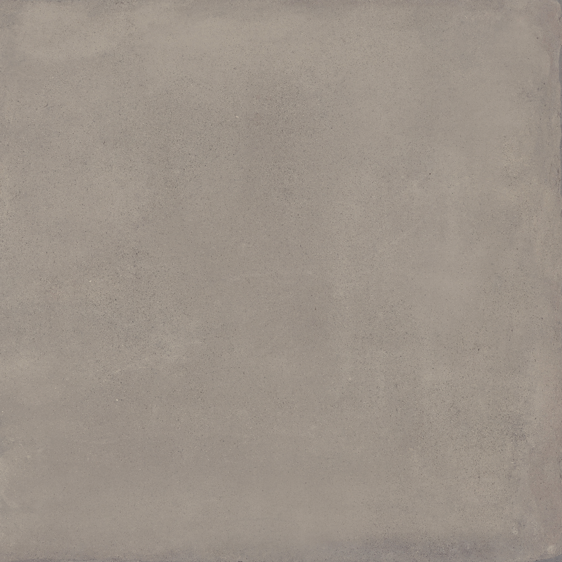 ragno replace r4nu.jpg