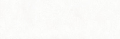 ragno replace r9cl.jpg