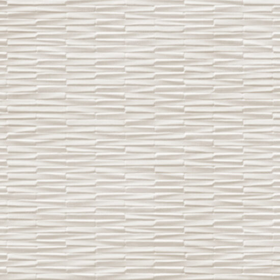 ragno resina r79f.jpg