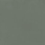 ragno resina r79x.jpg