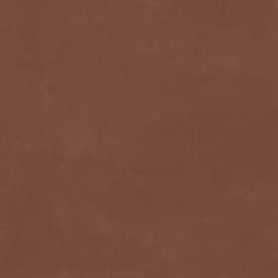 ragno resina r79z.jpg