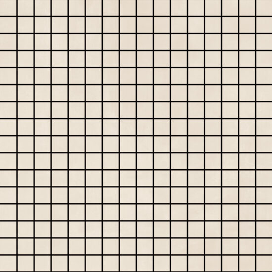 ragno resina r7lv.jpg