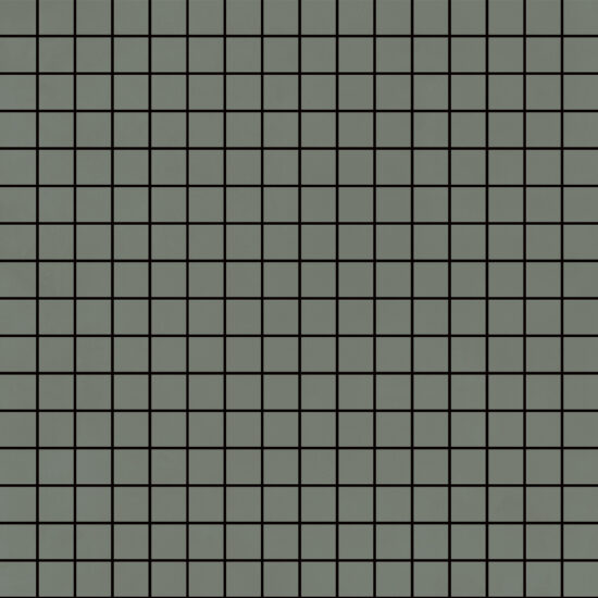 ragno resina r7ly.jpg