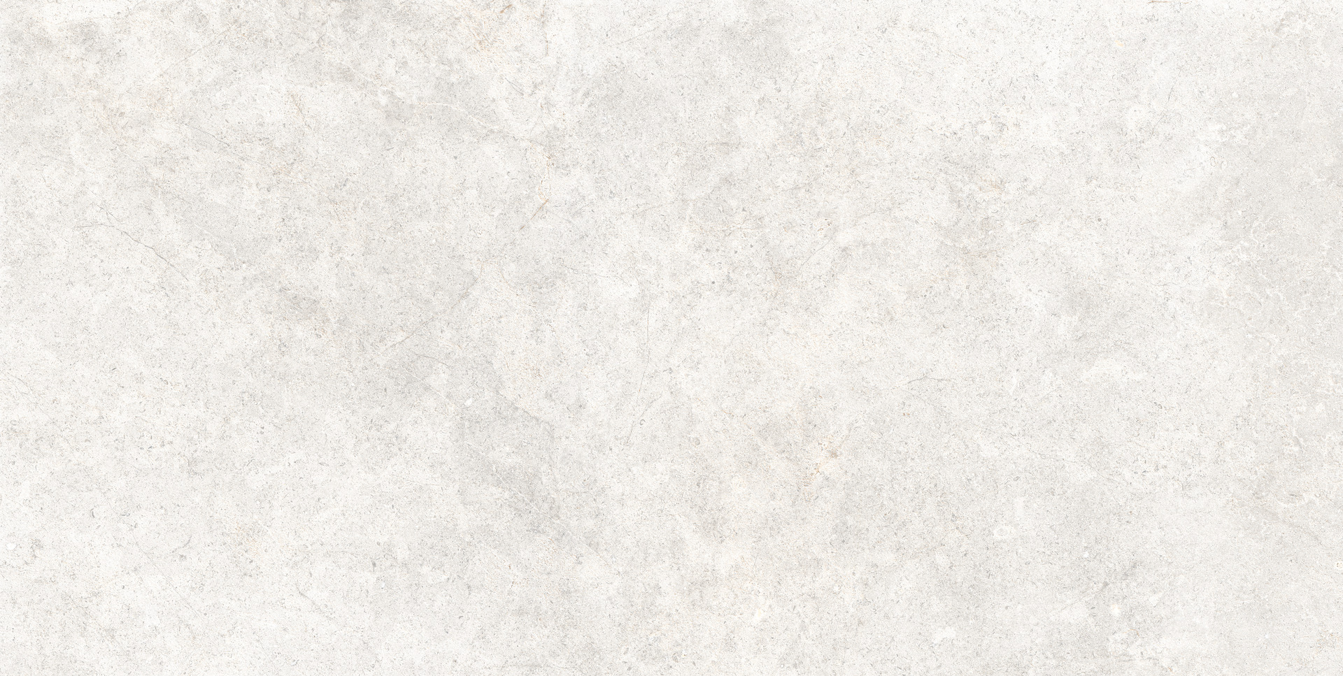 ragno richmond rafu.jpg