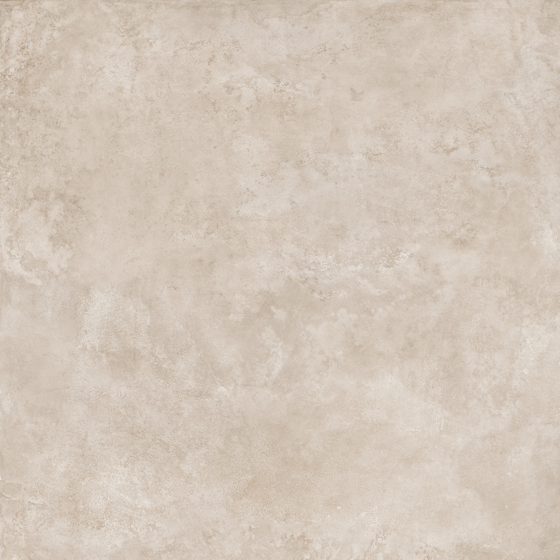 ragno roots ra7r.jpg