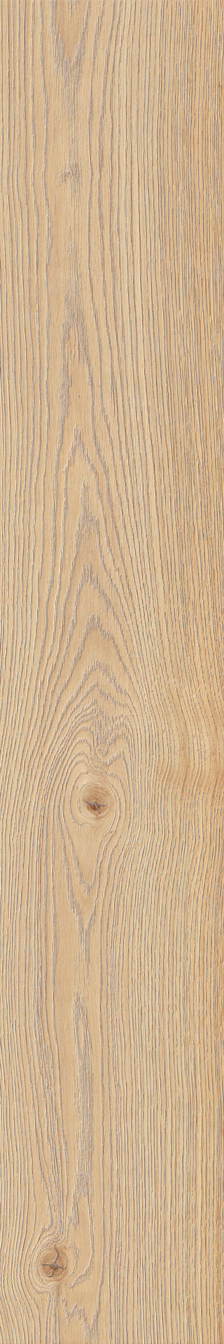 ragno secret rc6m.jpg