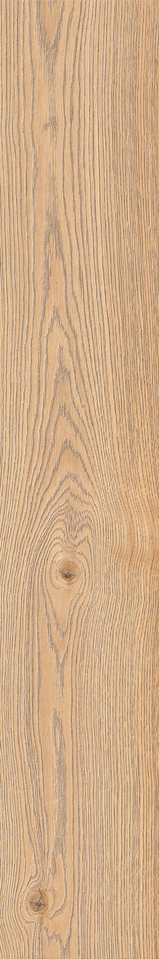 ragno secret rc6u.jpg