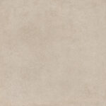 ragno solida rddp.jpg