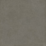 ragno solida rddq.jpg