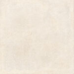 ragno solida rdds.jpg