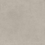 ragno solida rddt.jpg