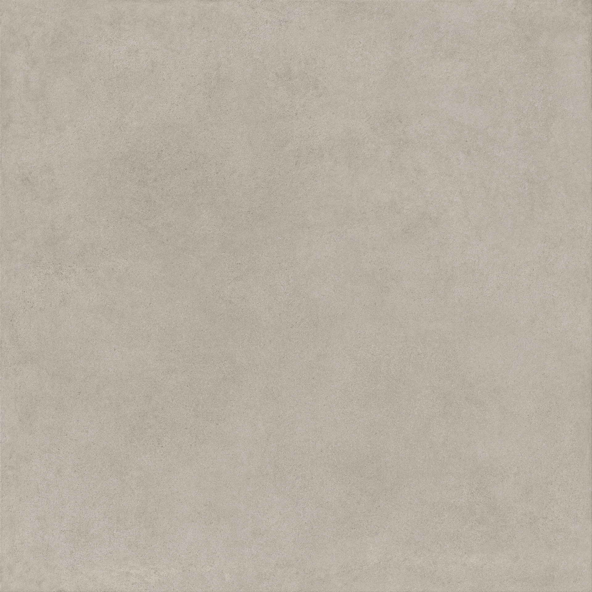 ragno solida rddt.jpg