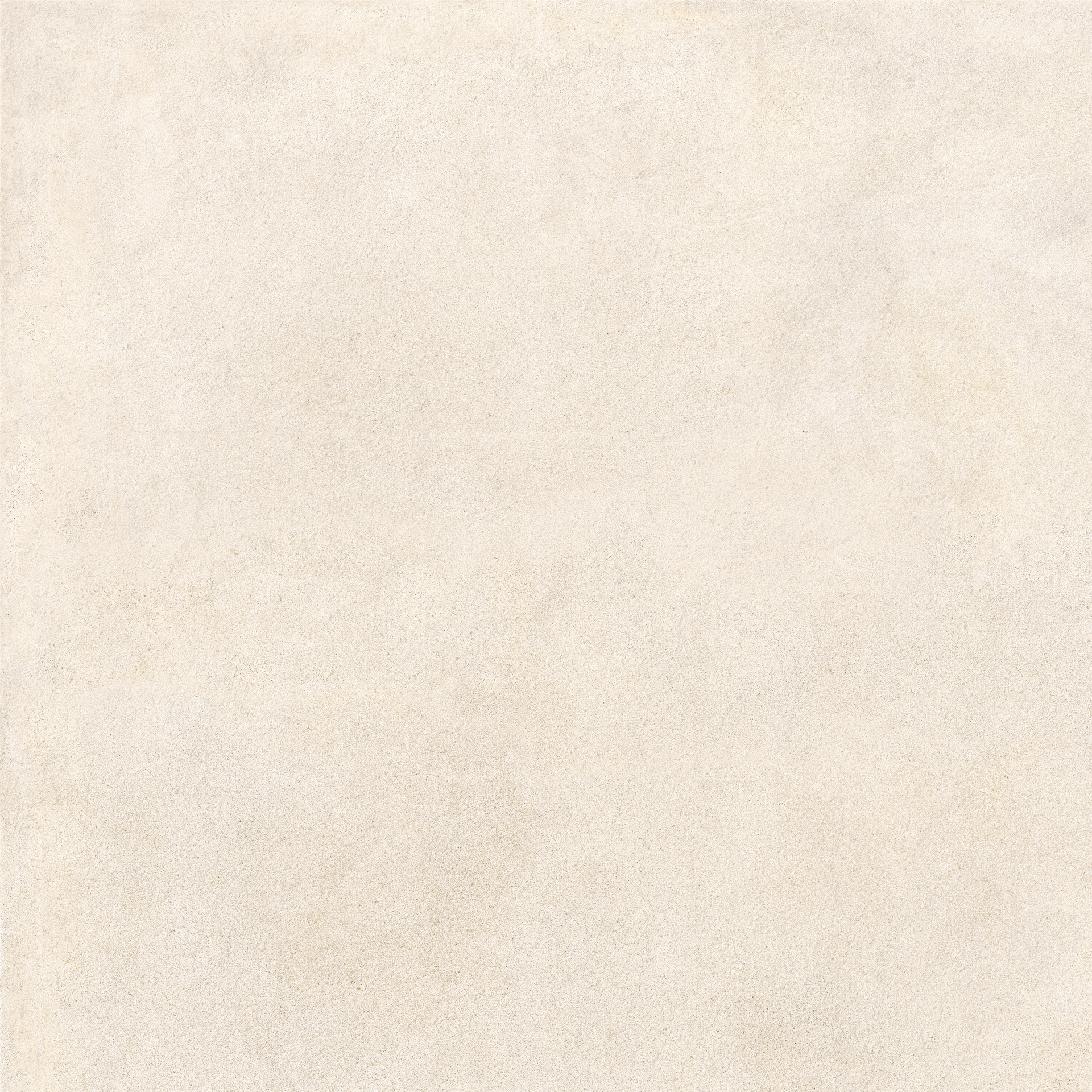 ragno solida rdep.jpg