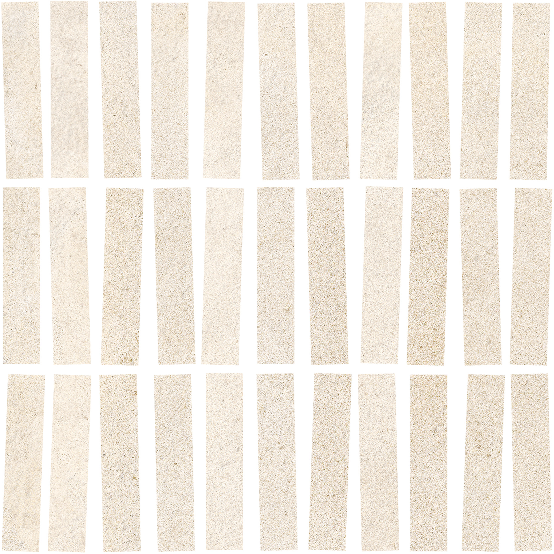 ragno solida rdjd.jpg