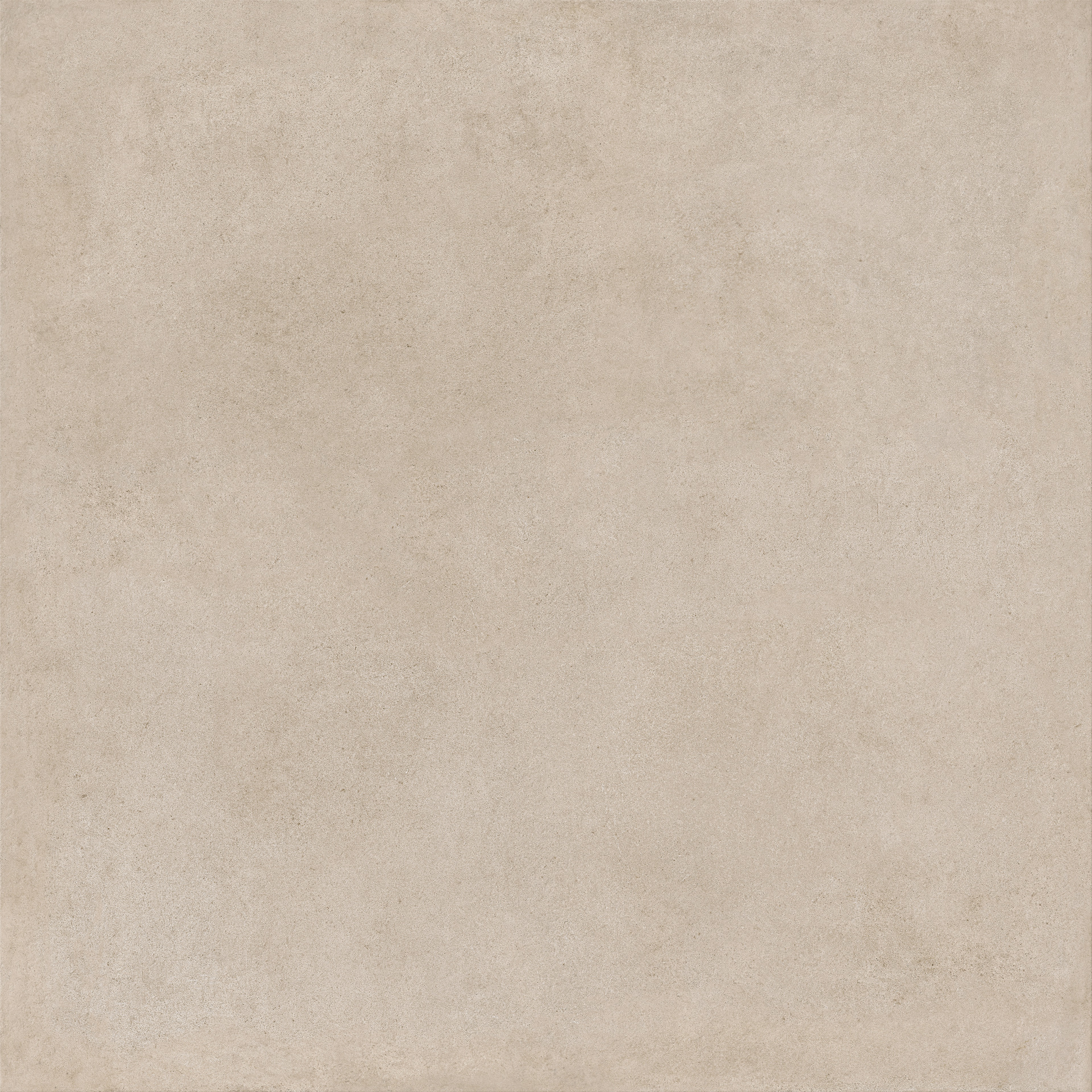 ragno solida rdme.jpg