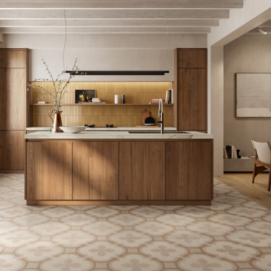 ragno solida 001.jpg