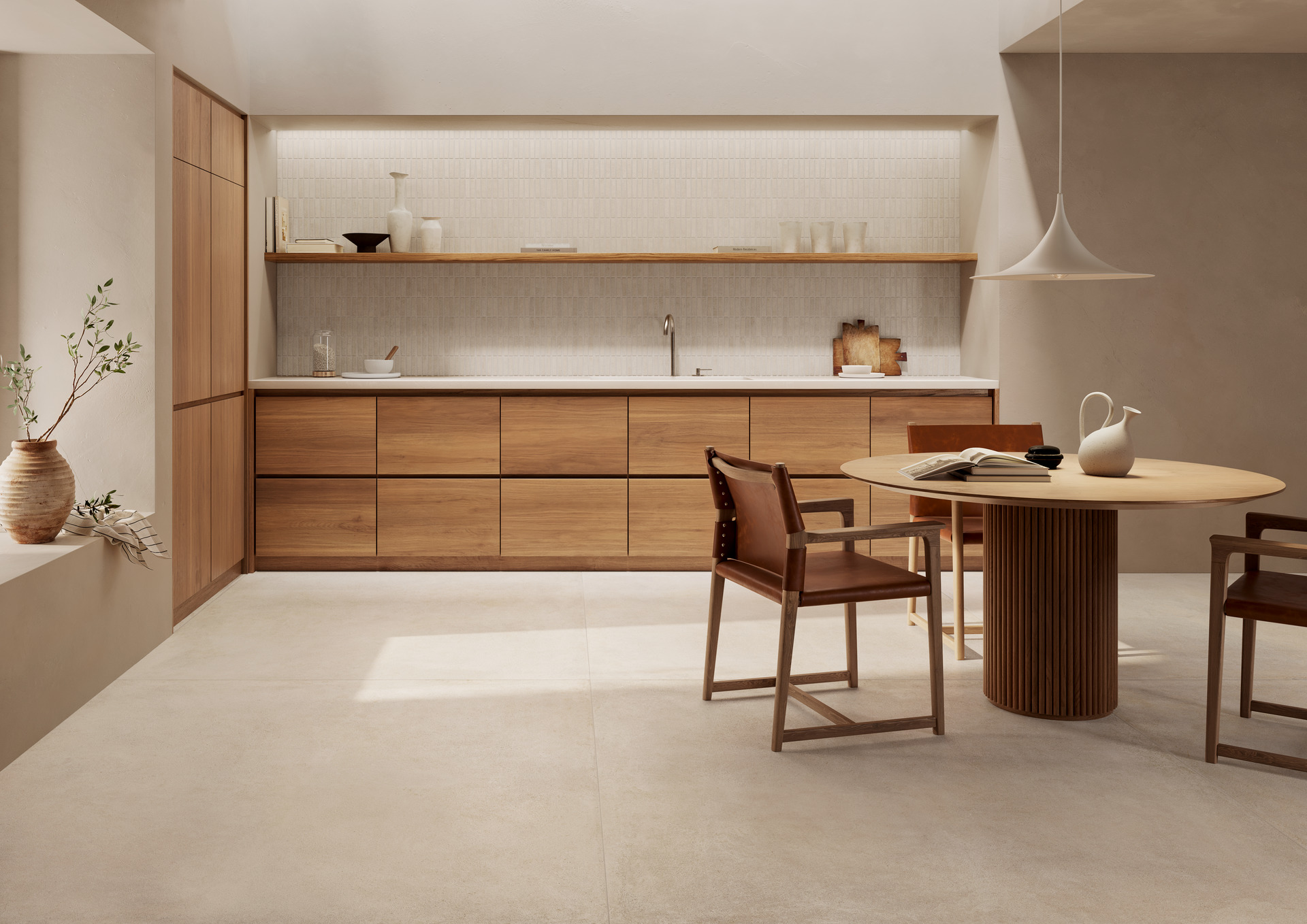 ragno solida 004.jpg