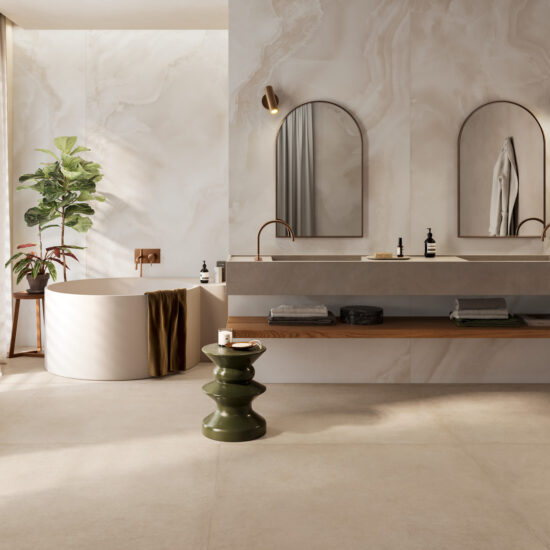 ragno solida 011.jpg